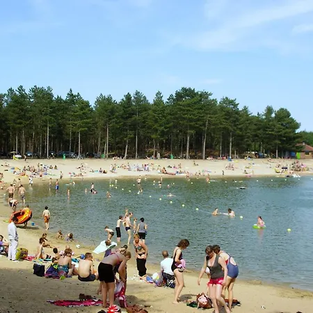 Merel Veluwe * Nunspeet